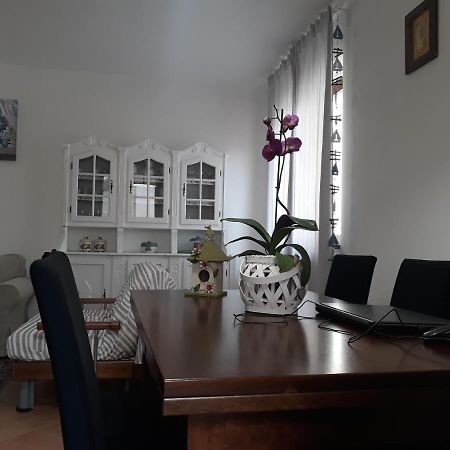 Casa Dori Lejlighed Viareggio Eksteriør billede
